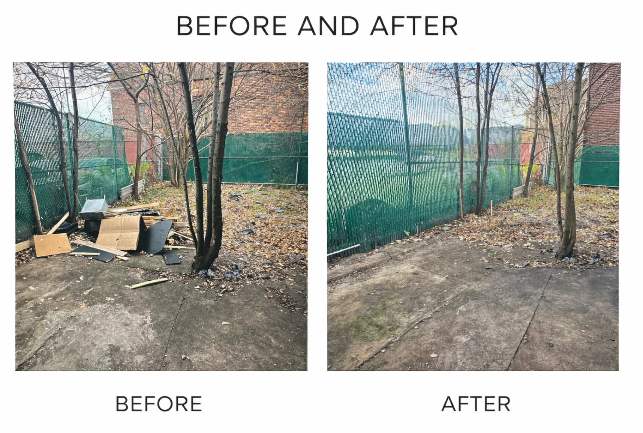 services-01 IMG 1571